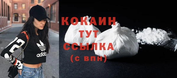 шишки Беломорск