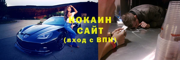 шишки Беломорск