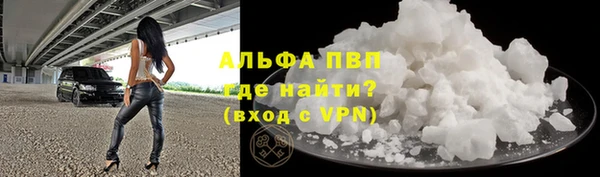 стафф Осинники