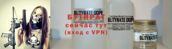 шишки Беломорск
