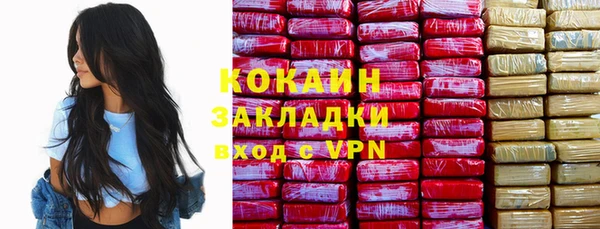 шишки Беломорск