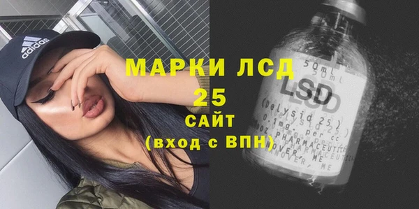шишки Беломорск